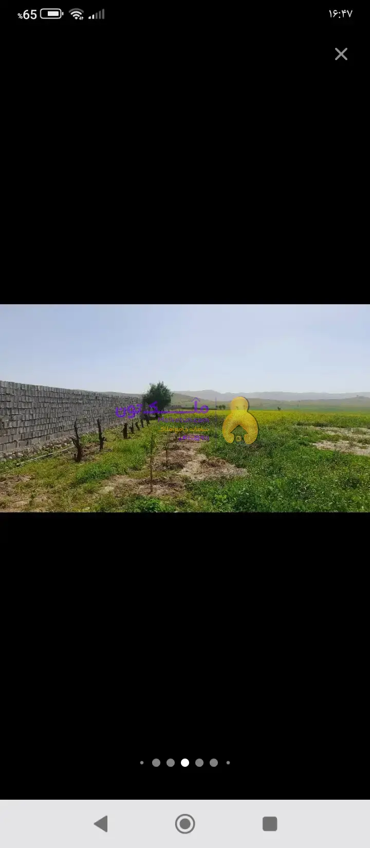 زمین کشاورزی