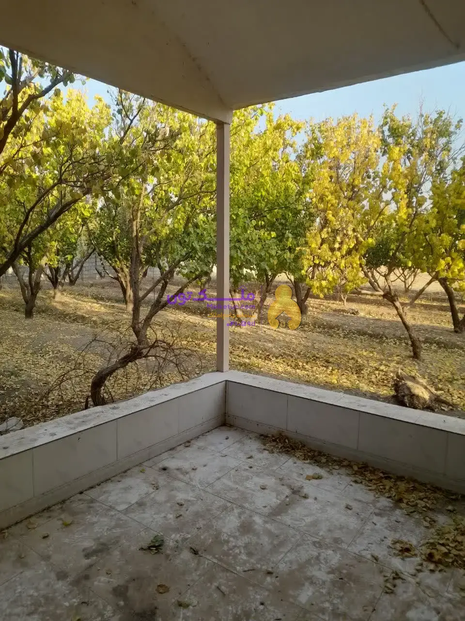 «فروش شدیداً فوری! پاداش ۱۰۰ میلیون برای یابنده مشتری / زمین کشاورزی ۳۵۰۰ متری - آب چاه و لولهکشی- برق»