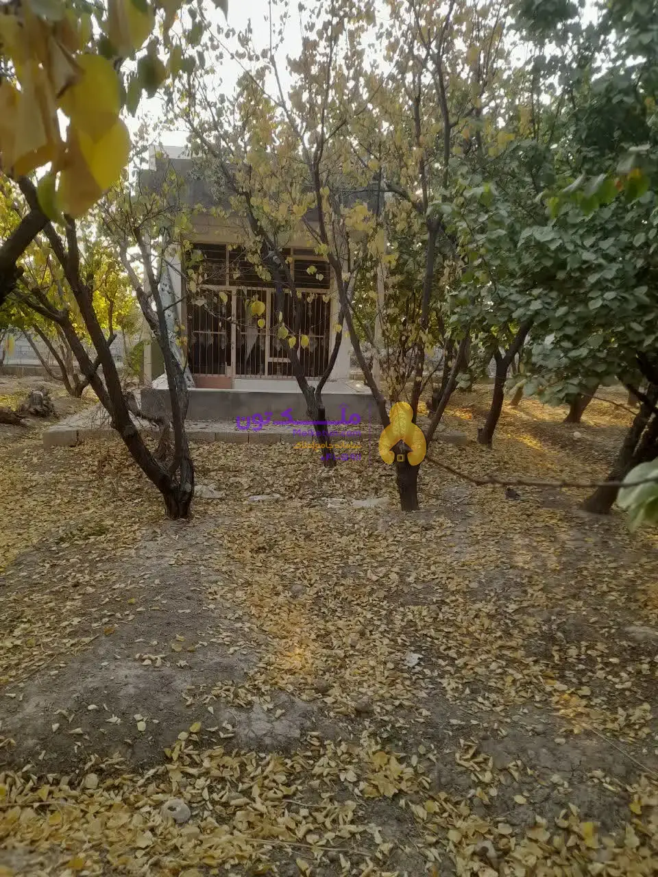 «فروش شدیداً فوری! پاداش ۱۰۰ میلیون برای یابنده مشتری / زمین کشاورزی ۳۵۰۰ متری - آب چاه و لولهکشی- برق»