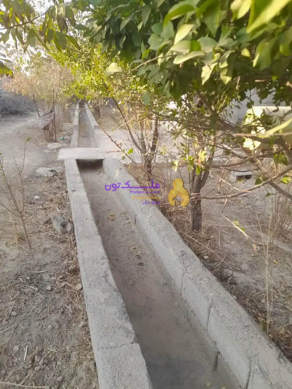 «فروش شدیداً فوری! پاداش ۱۰۰ میلیون برای یابنده مشتری / زمین کشاورزی ۳۵۰۰ متری - آب چاه و لولهکشی- برق»