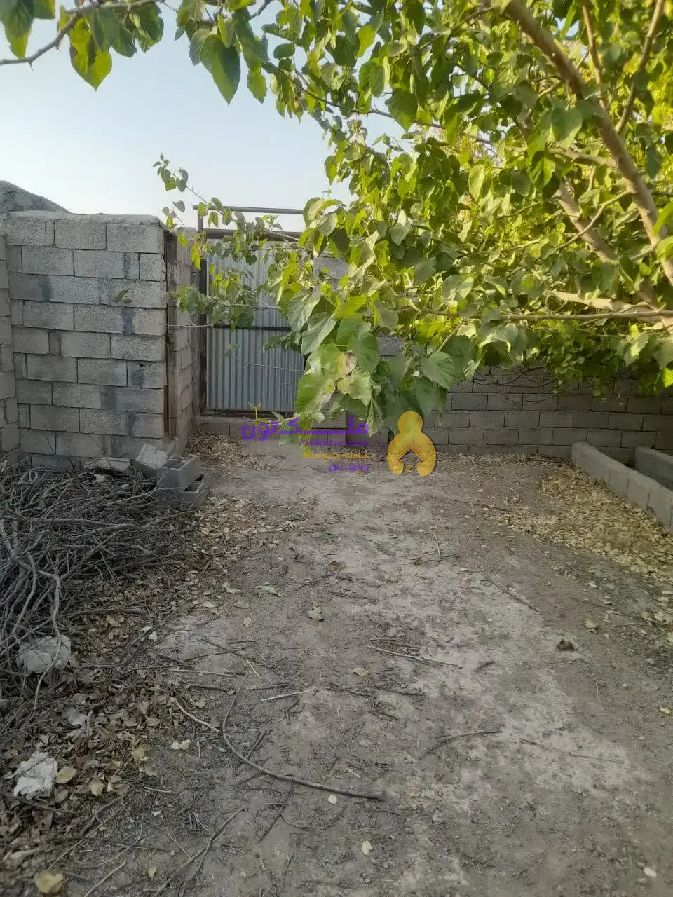 «فروش شدیداً فوری! پاداش ۱۰۰ میلیون برای یابنده مشتری / زمین کشاورزی ۳۵۰۰ متری - آب چاه و لولهکشی- برق»