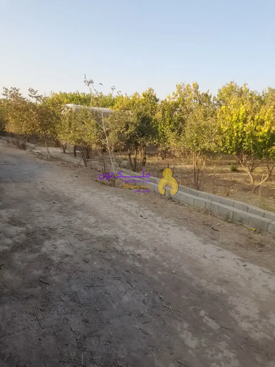 «فروش شدیداً فوری! پاداش ۱۰۰ میلیون برای یابنده مشتری / زمین کشاورزی ۳۵۰۰ متری - آب چاه و لولهکشی- برق»