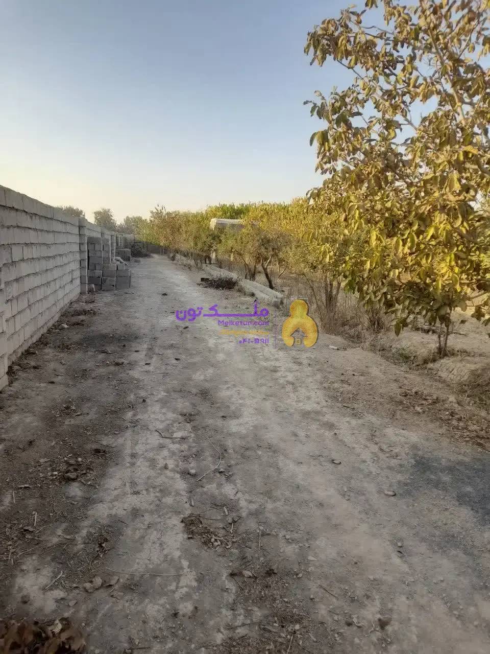 «فروش شدیداً فوری! پاداش ۱۰۰ میلیون برای یابنده مشتری / زمین کشاورزی ۳۵۰۰ متری - آب چاه و لولهکشی- برق»