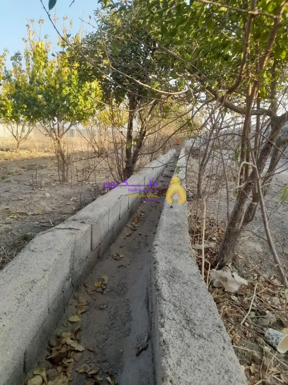 «فروش شدیداً فوری! پاداش ۱۰۰ میلیون برای یابنده مشتری / زمین کشاورزی ۳۵۰۰ متری - آب چاه و لولهکشی- برق»