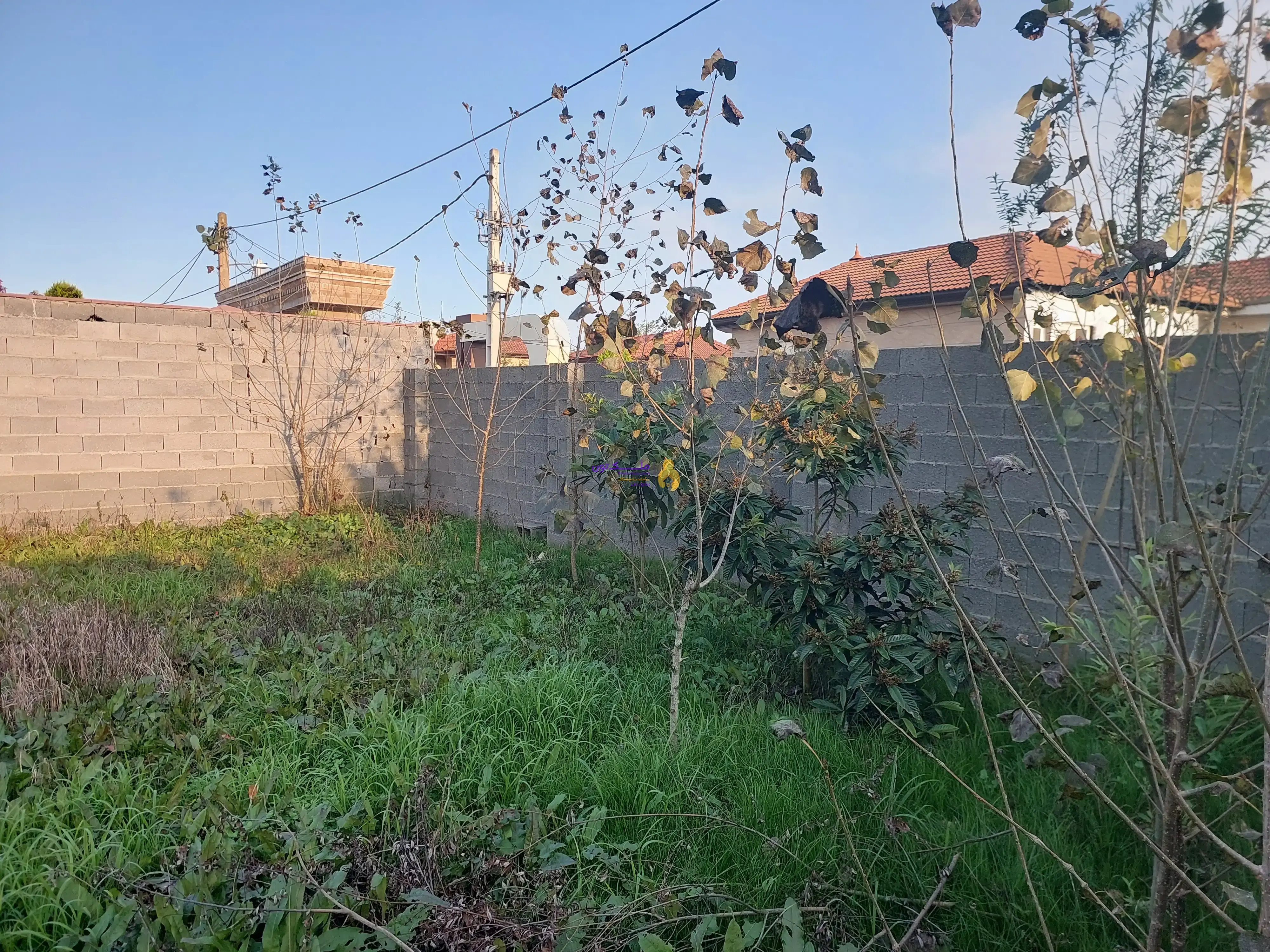 زمین مسکونی زیباکنار