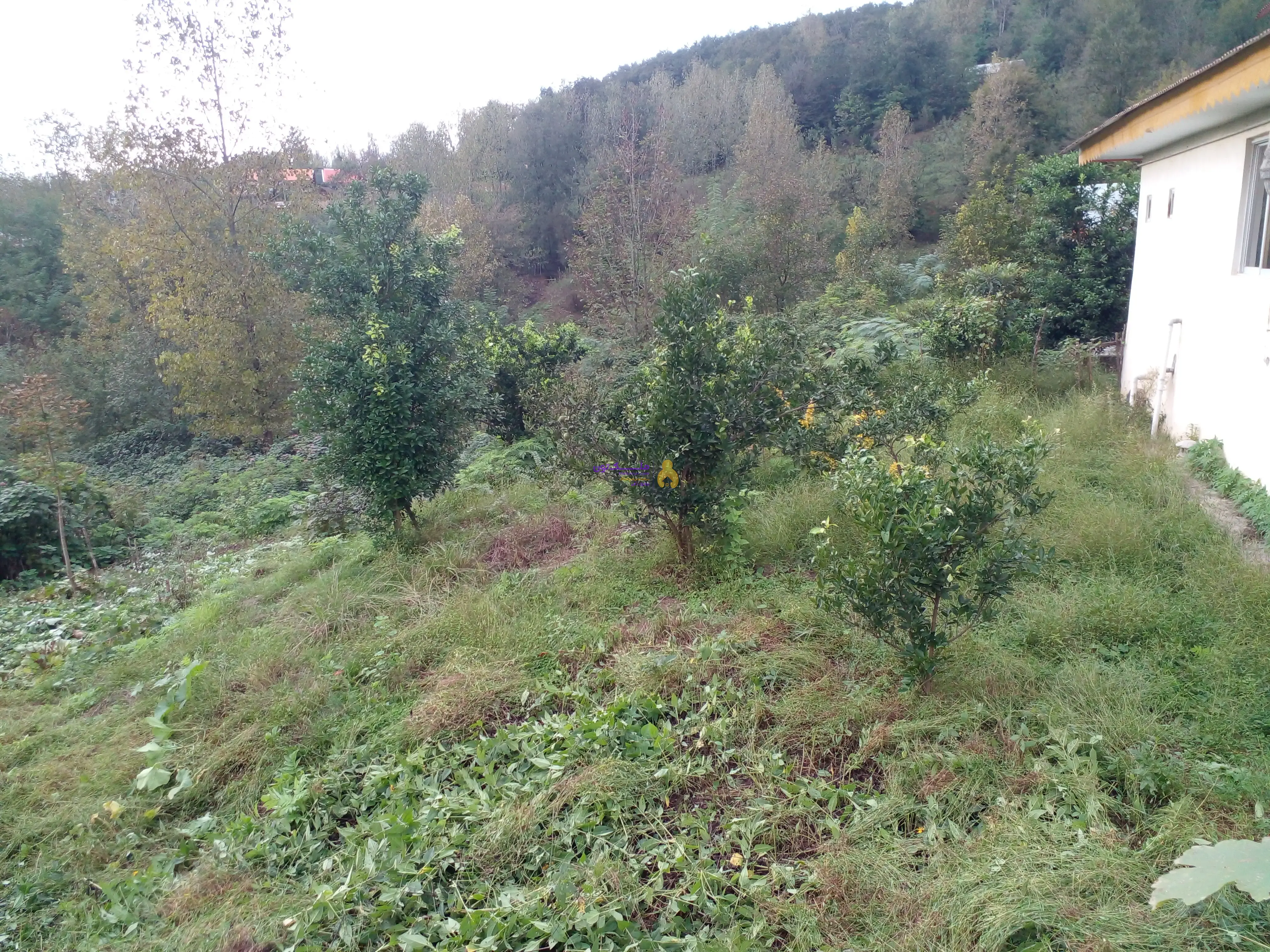 ۳۱۰مترزمین مسکونی فروش فوری