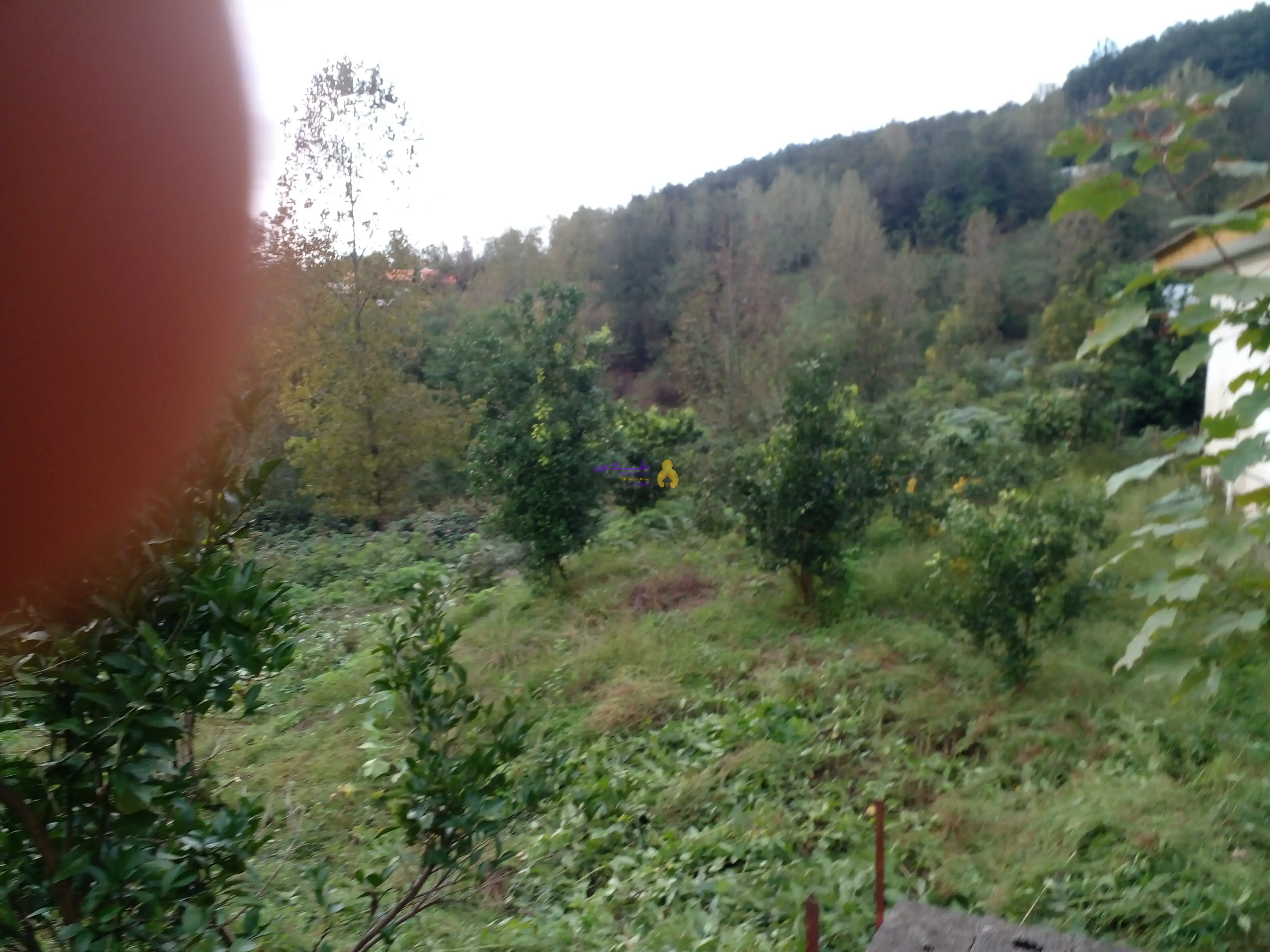 ۳۱۰مترزمین مسکونی فروش فوری