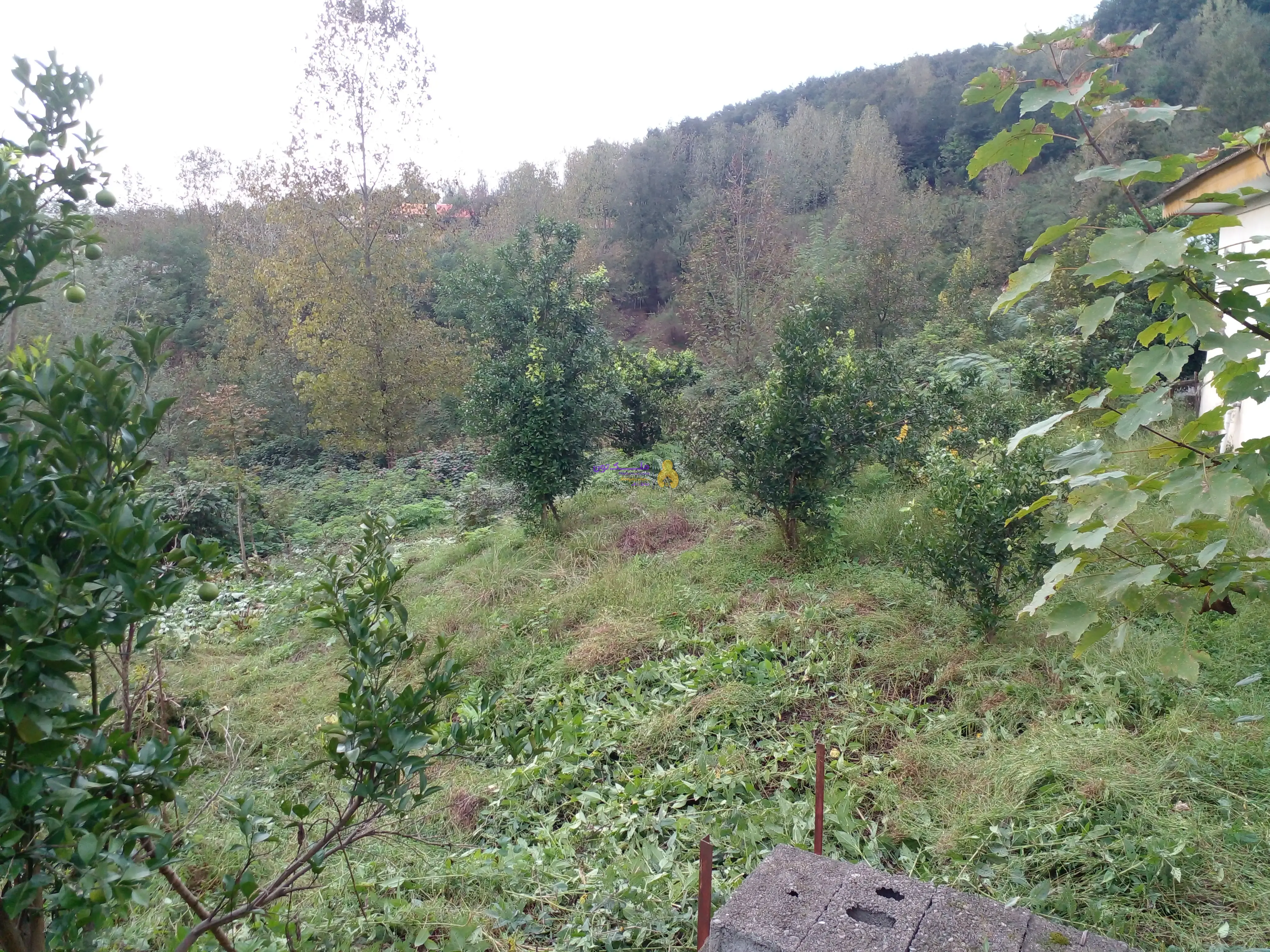 ۳۱۰مترزمین مسکونی فروش فوری