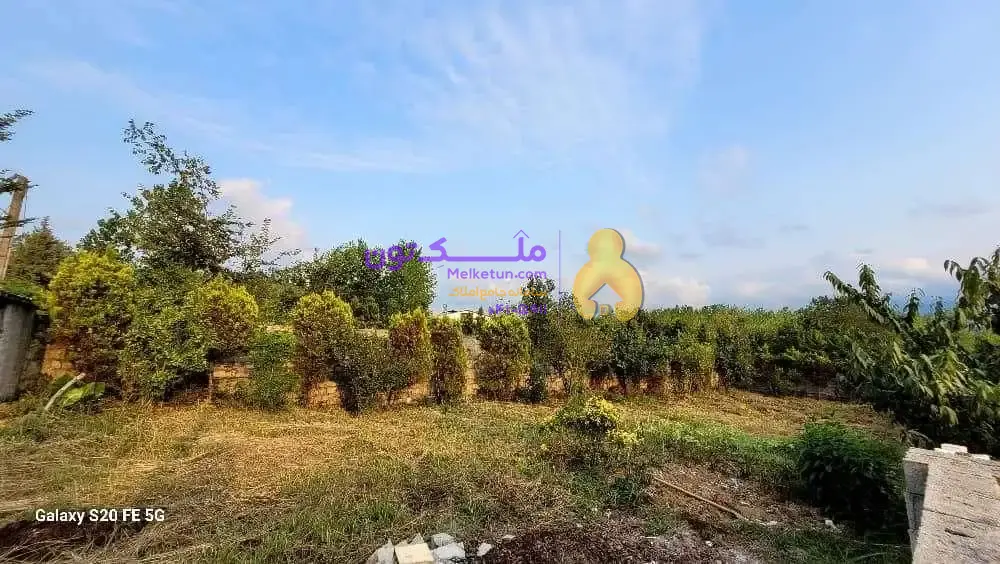 ۵۰۰ متر زمین بهترین جای لاهیجان