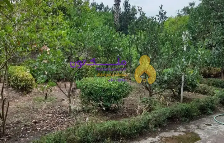 ویلا دوبلکس