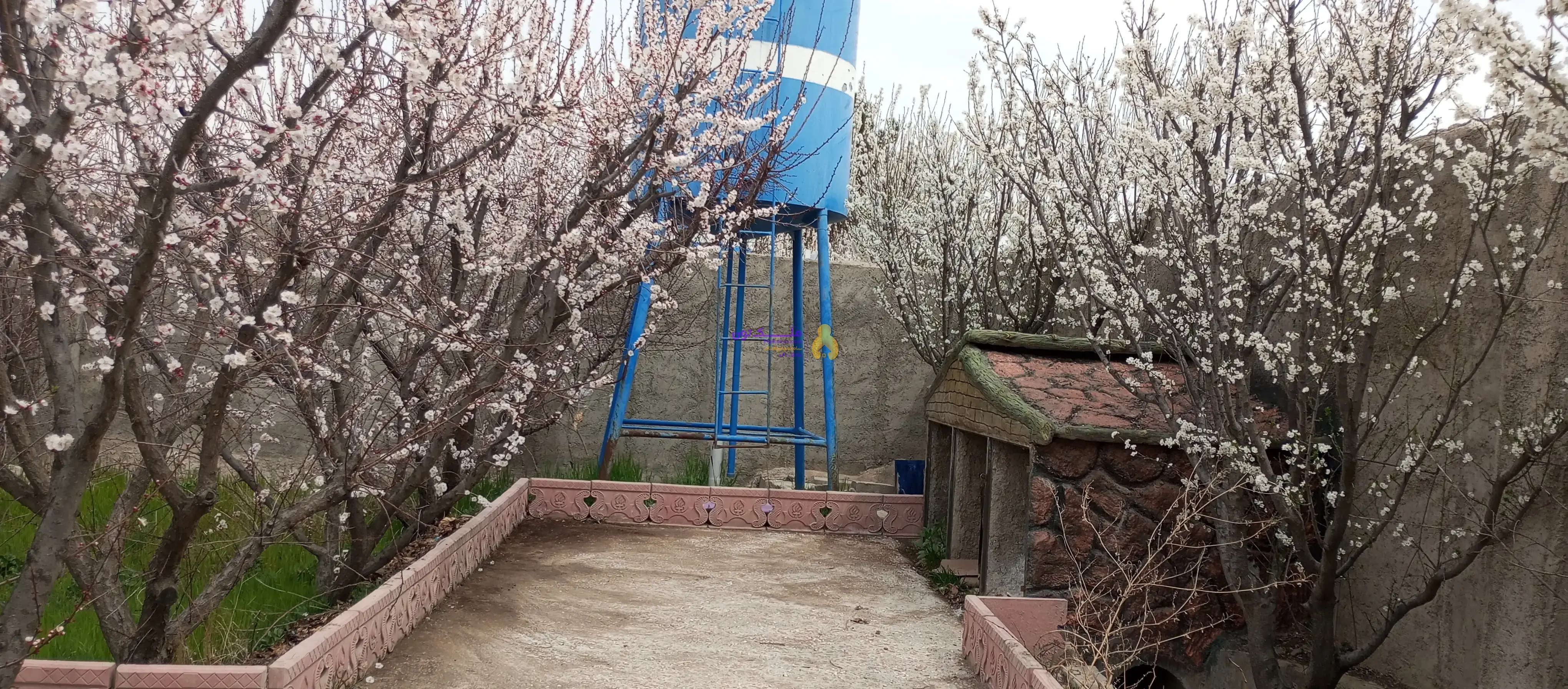اجاره باغ 4 دیواری