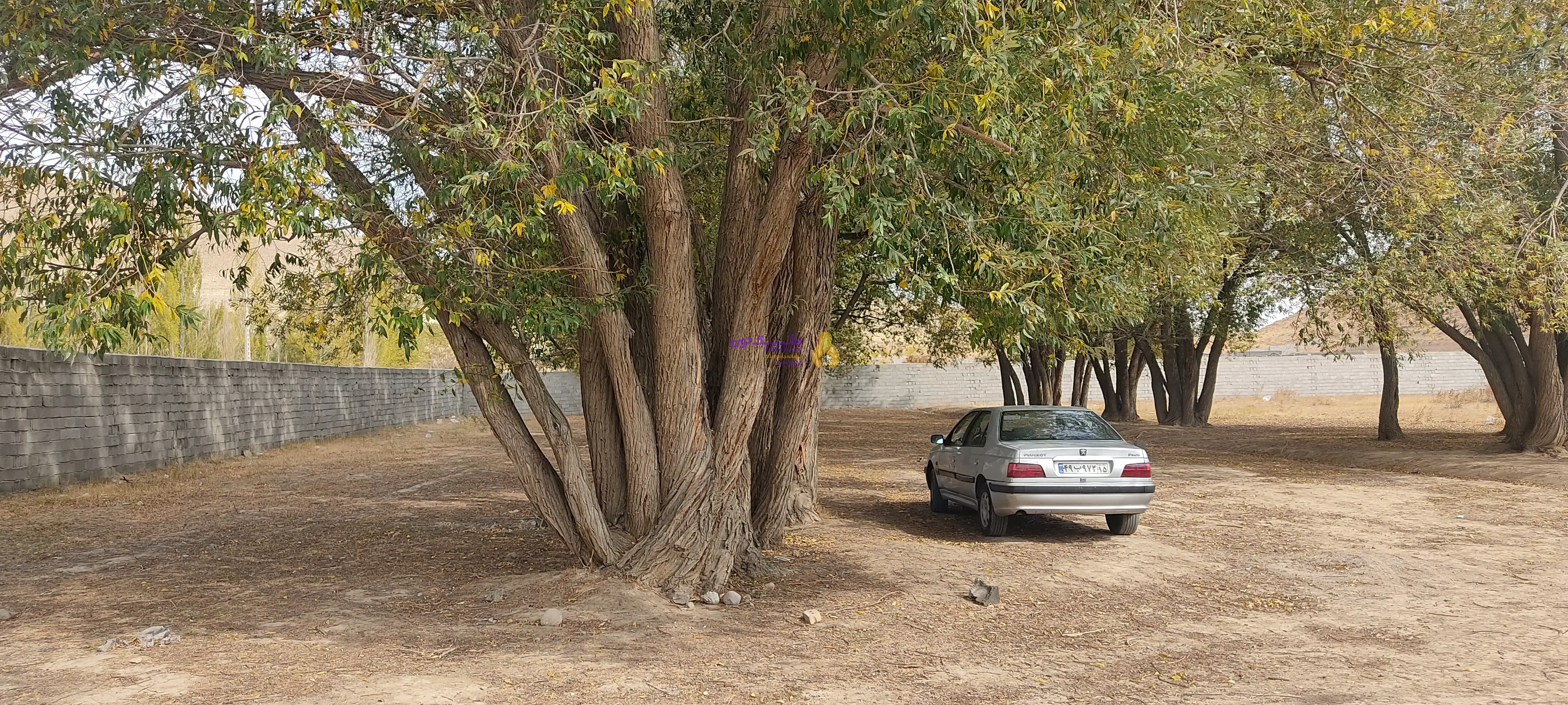 فروش زمین ویلایی