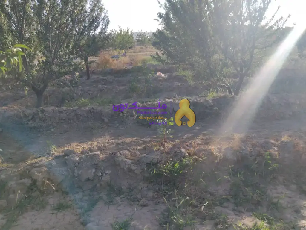 فروش زمین باغ در خسروشاه