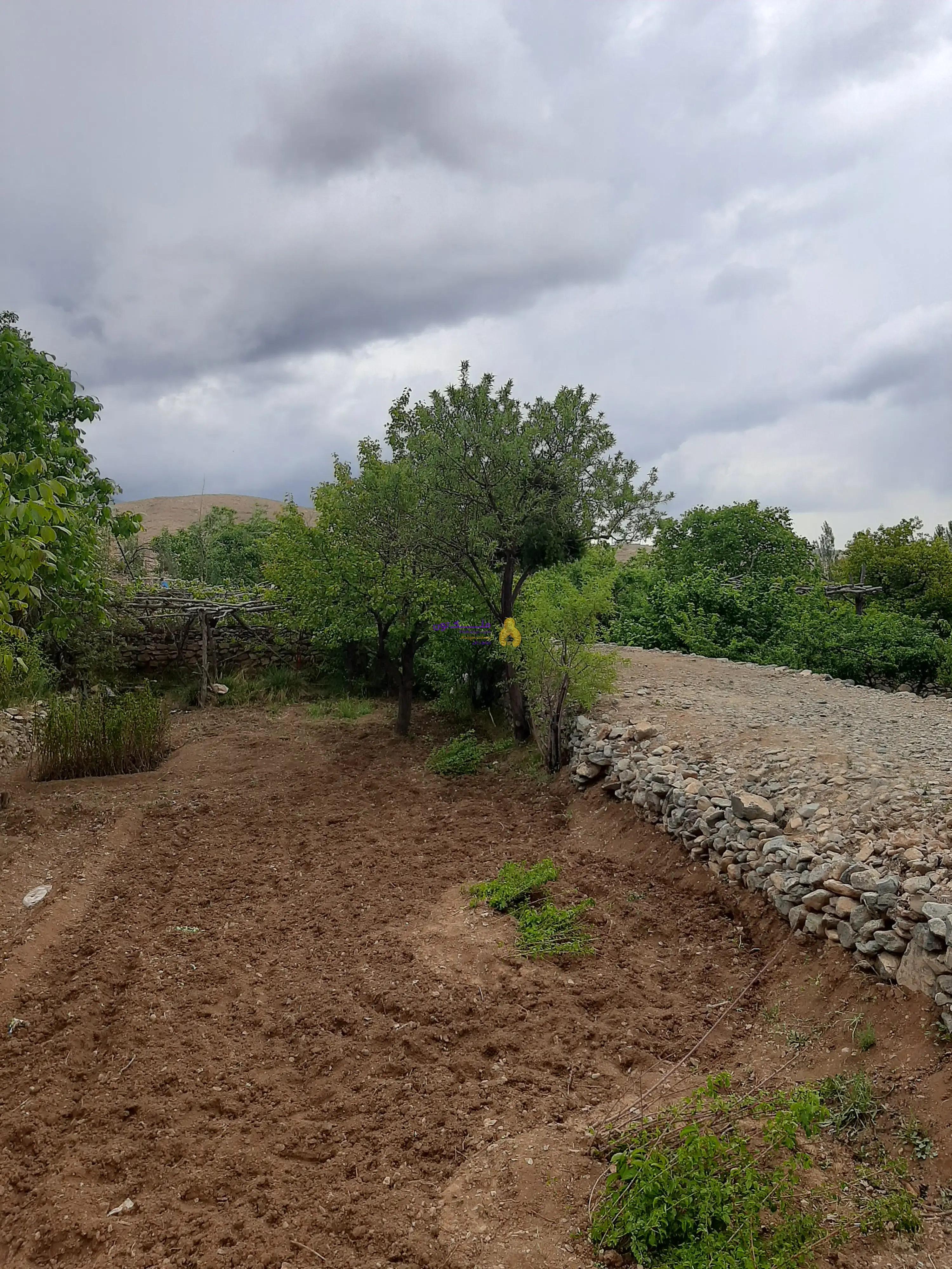 باغ چهاردیواری متراژ ۵۳۰ مترلب رودخانه درروستای کشه محله سینه طرق سند تک برگ