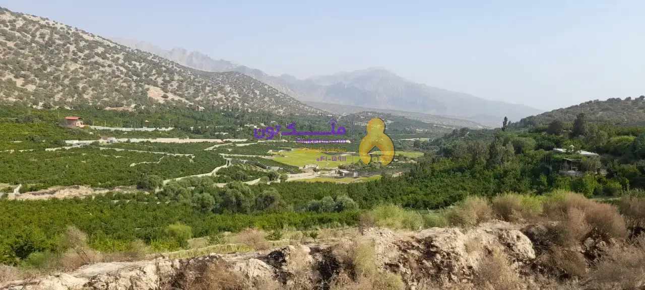 هزار متر باغ ثمری کوهمره سرخی، کنار جاده، دارای حدود 100 درخت، درآمد سالیانه حدود 200 تا 250 میلیون تومان.(قیمت براساس تعداد درخت حساب می شود)