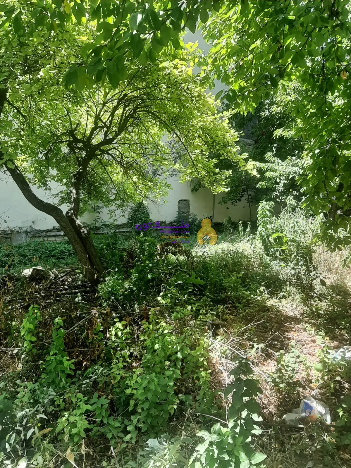 باغچه دماوند،دوبر،انشعابات کامل ،سند تک برگ