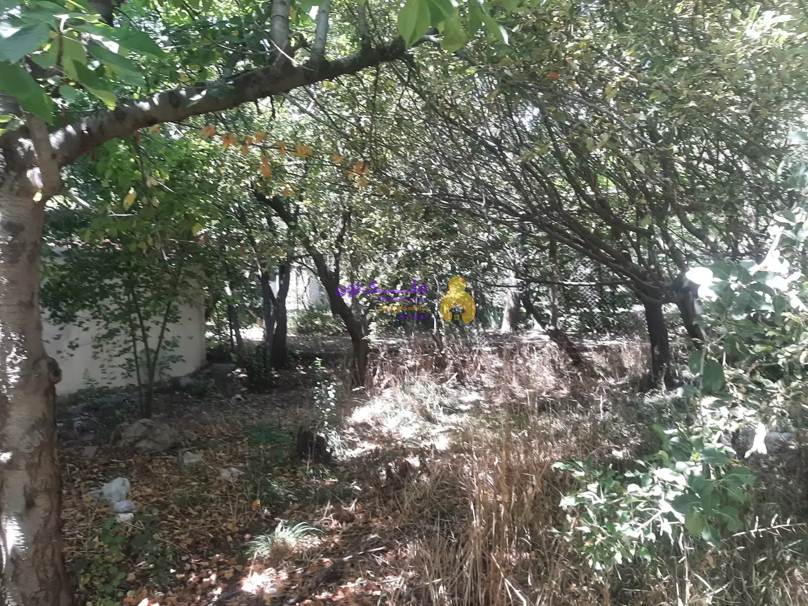 باغچه دماوند،دوبر،انشعابات کامل ،سند تک برگ