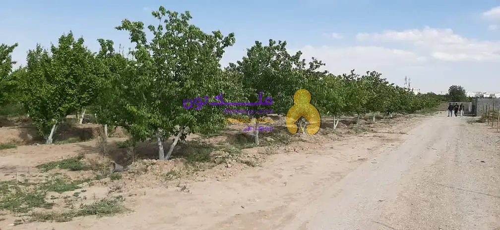 باغچه 750 متر چهاردیواری مدارک کامل